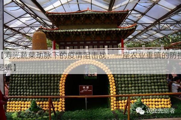 【寿光蔬菜动脉下的疫情阻击战：一座农业重镇的防控逻辑】