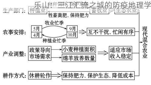 乐山：三江汇流之城的防疫地理学