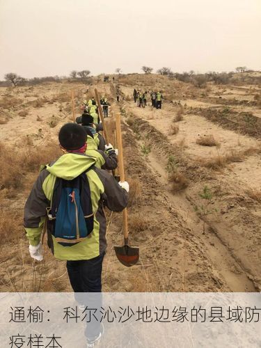 通榆：科尔沁沙地边缘的县域防疫样本
