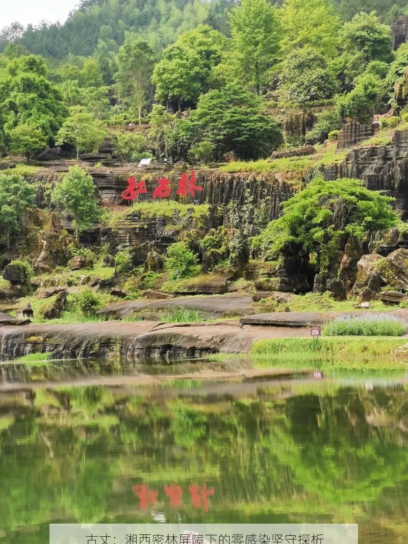 古丈：湘西密林屏障下的零感染坚守探析
