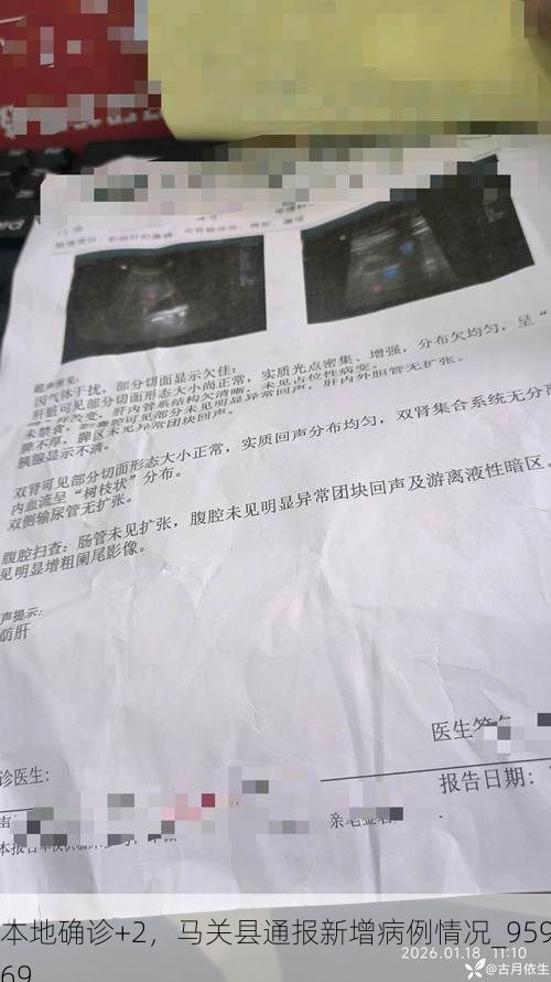 本地确诊+2，马关县通报新增病例情况_95969