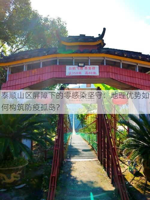 泰顺山区屏障下的零感染坚守：地理优势如何构筑防疫孤岛？