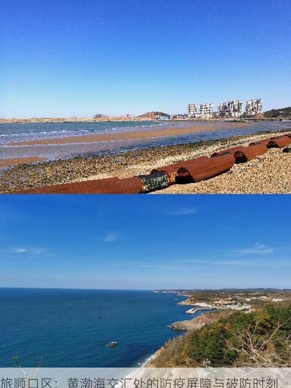 旅顺口区：黄渤海交汇处的防疫屏障与破防时刻