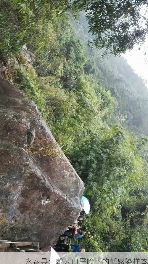 最新资讯 第50页