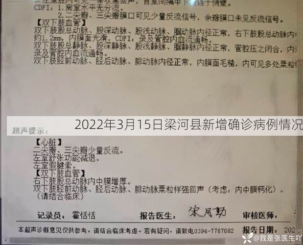 2022年3月15日梁河县新增确诊病例情况