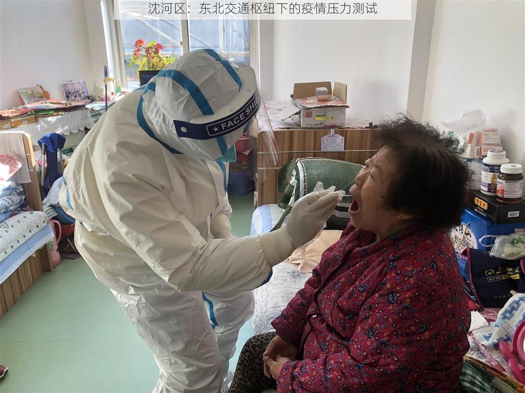 沈河区：东北交通枢纽下的疫情压力测试