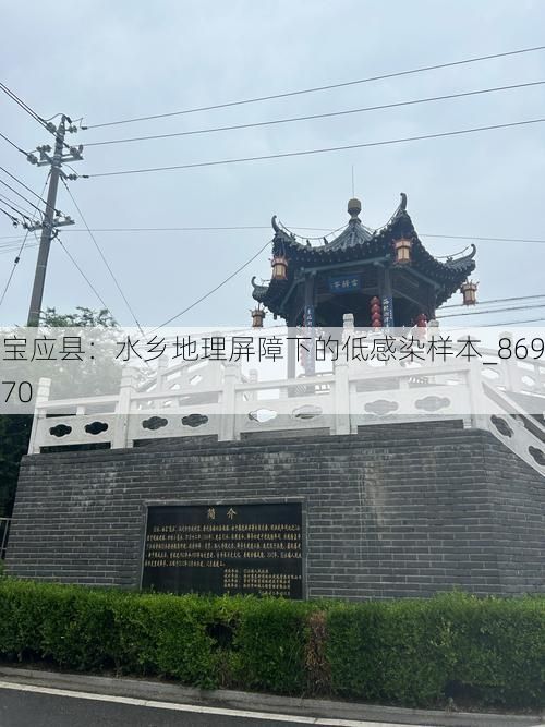 宝应县：水乡地理屏障下的低感染样本_86970