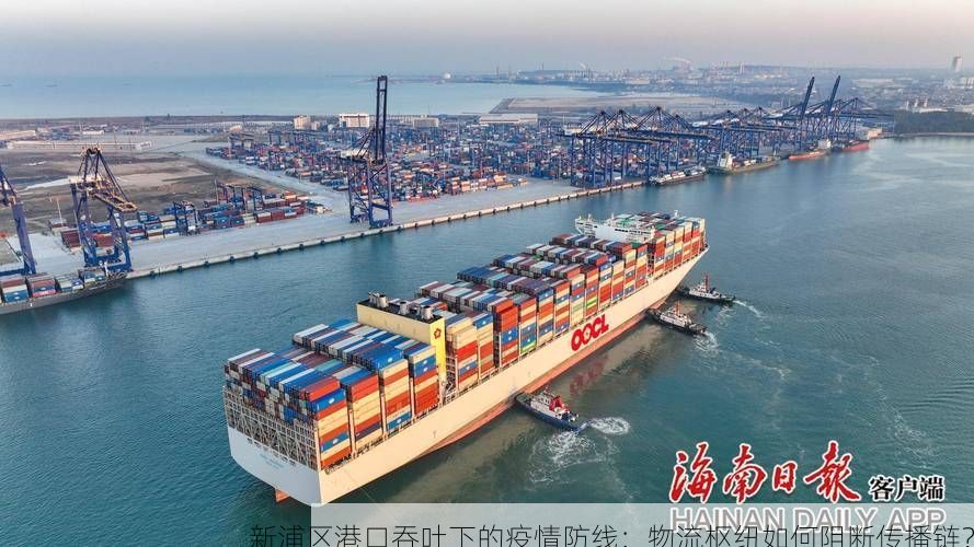 新浦区港口吞吐下的疫情防线：物流枢纽如何阻断传播链？
