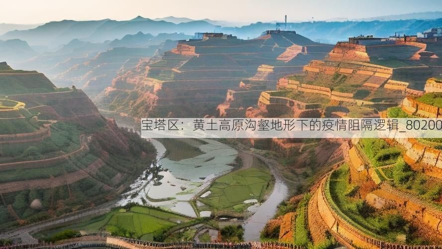 宝塔区：黄土高原沟壑地形下的疫情阻隔逻辑_80200