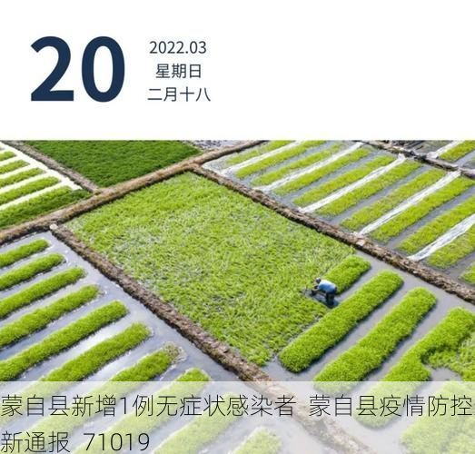 蒙自县新增1例无症状感染者  蒙自县疫情防控最新通报_71019