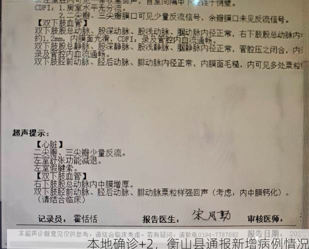 本地确诊+2，衡山县通报新增病例情况