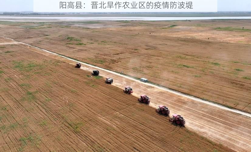 阳高县：晋北旱作农业区的疫情防波堤