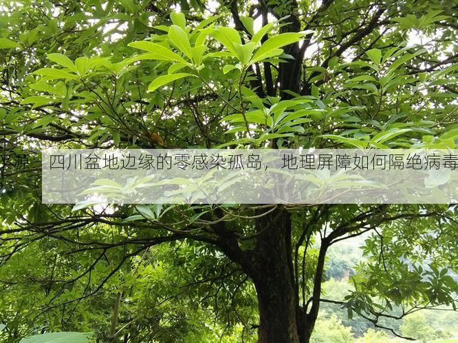 汉源：四川盆地边缘的零感染孤岛，地理屏障如何隔绝病毒？