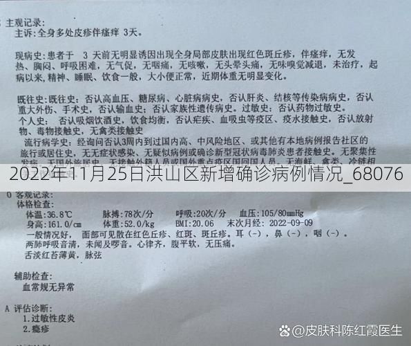 2022年11月25日洪山区新增确诊病例情况_68076