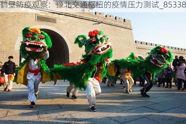 鹤壁防疫观察：豫北交通枢纽的疫情压力测试_85338