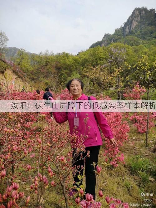 汝阳：伏牛山屏障下的低感染率样本解析