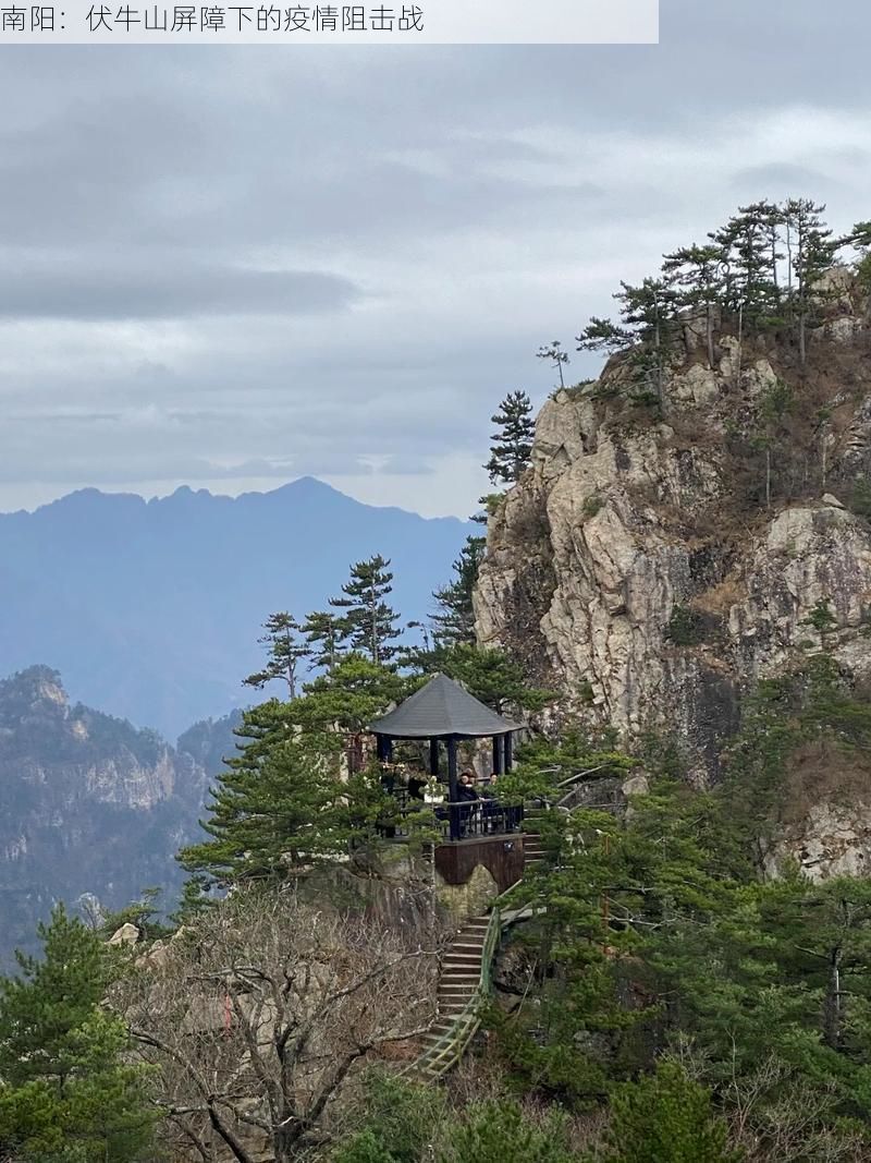 南阳：伏牛山屏障下的疫情阻击战