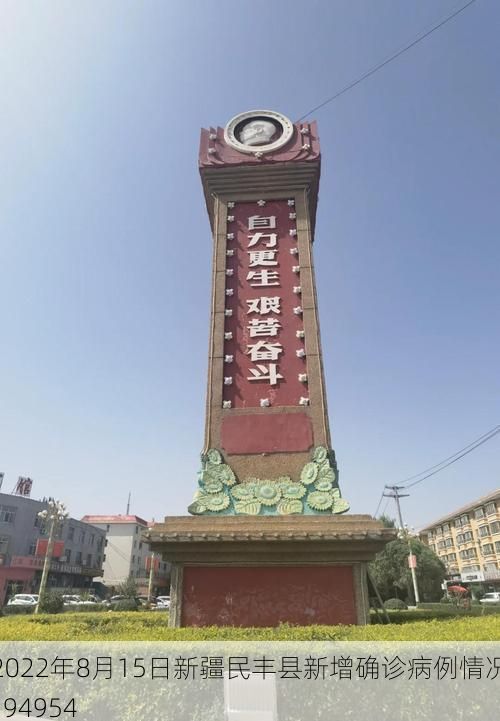 2022年8月15日新疆民丰县新增确诊病例情况_94954