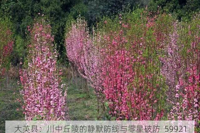 大英县：川中丘陵的静默防线与零星破防_59921