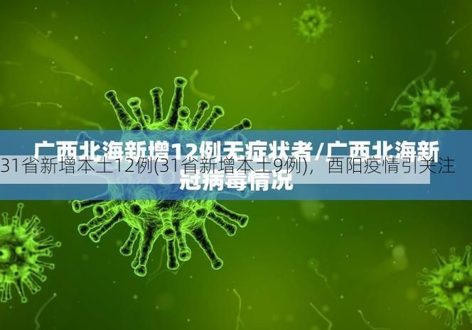 31省新增本土12例(31省新增本土9例)，酉阳疫情引关注