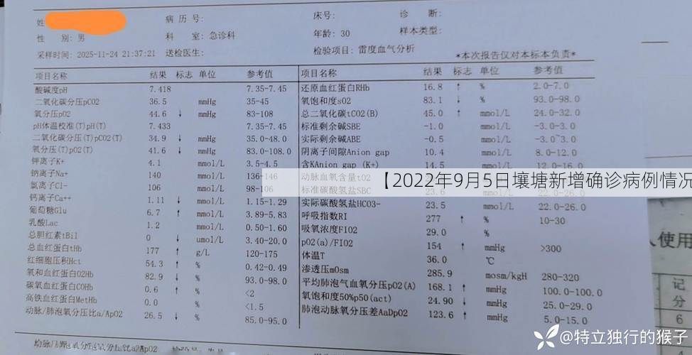 最新热点 第42页