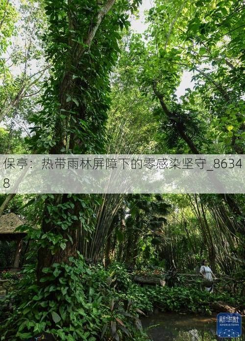 保亭：热带雨林屏障下的零感染坚守_86348