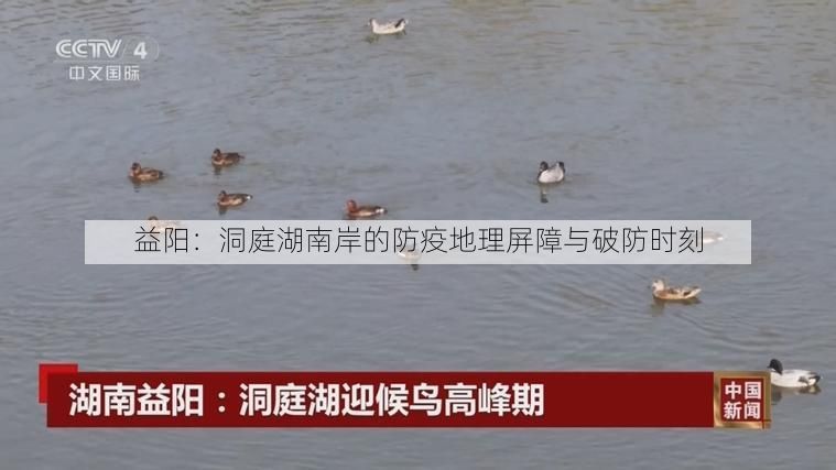 益阳：洞庭湖南岸的防疫地理屏障与破防时刻