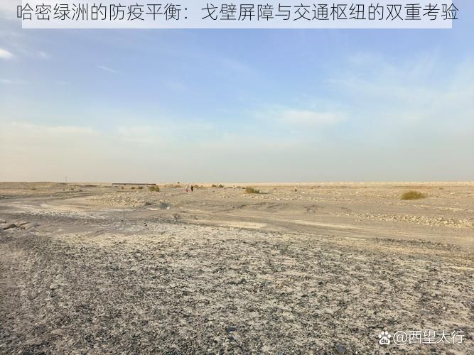 哈密绿洲的防疫平衡：戈壁屏障与交通枢纽的双重考验