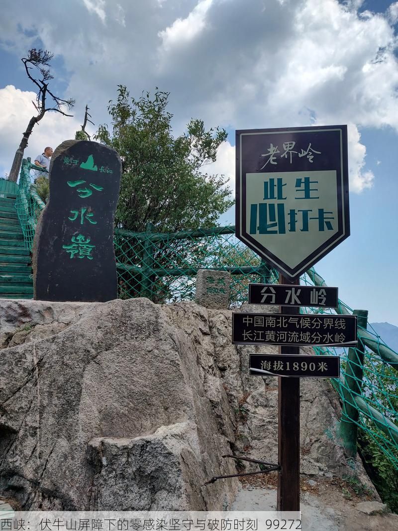 西峡：伏牛山屏障下的零感染坚守与破防时刻_99272