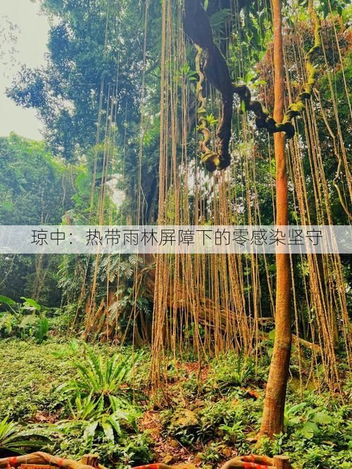 琼中：热带雨林屏障下的零感染坚守