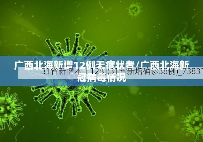 31省新增本土12例(31省新增确诊38例)_73831
