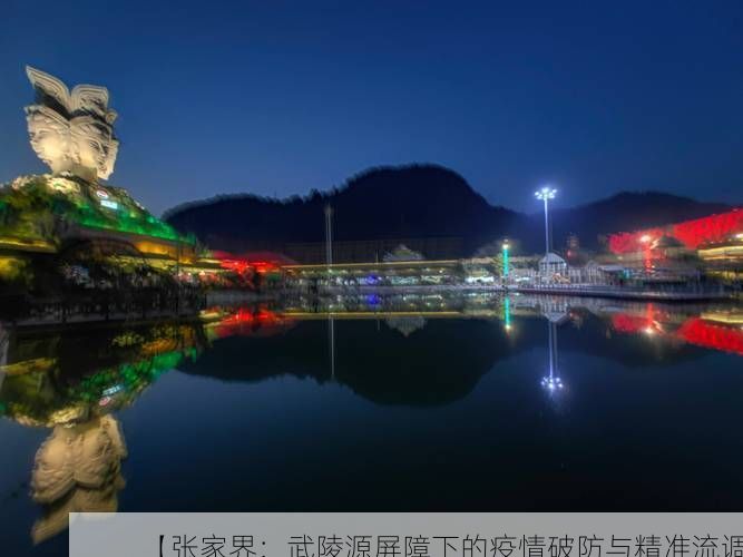 【张家界：武陵源屏障下的疫情破防与精准流调】