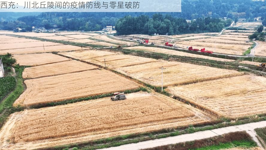 西充：川北丘陵间的疫情防线与零星破防
