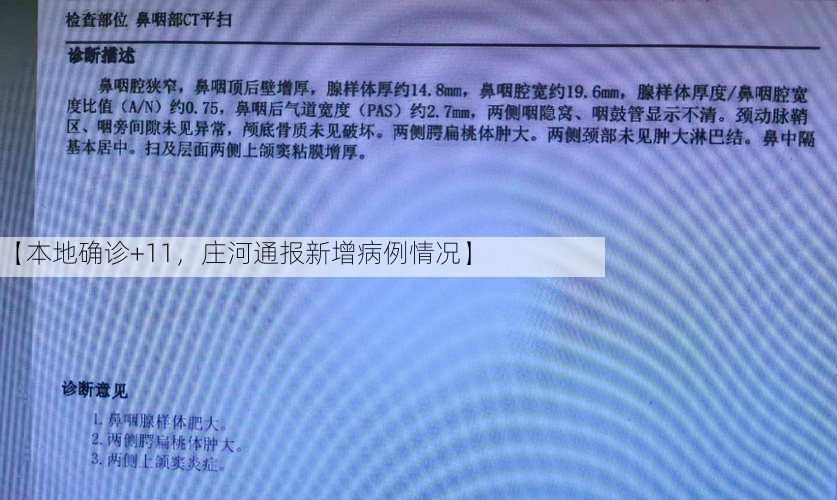 【本地确诊+11，庄河通报新增病例情况】