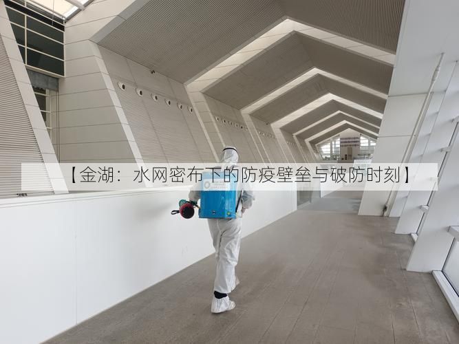 【金湖：水网密布下的防疫壁垒与破防时刻】
