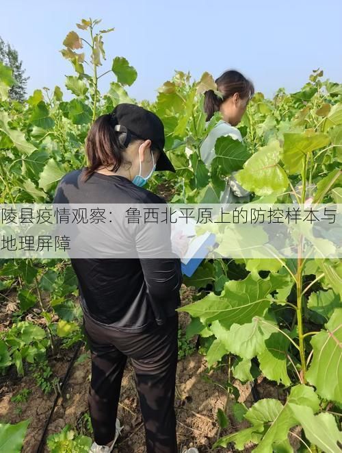 陵县疫情观察：鲁西北平原上的防控样本与地理屏障