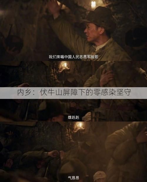 内乡：伏牛山屏障下的零感染坚守