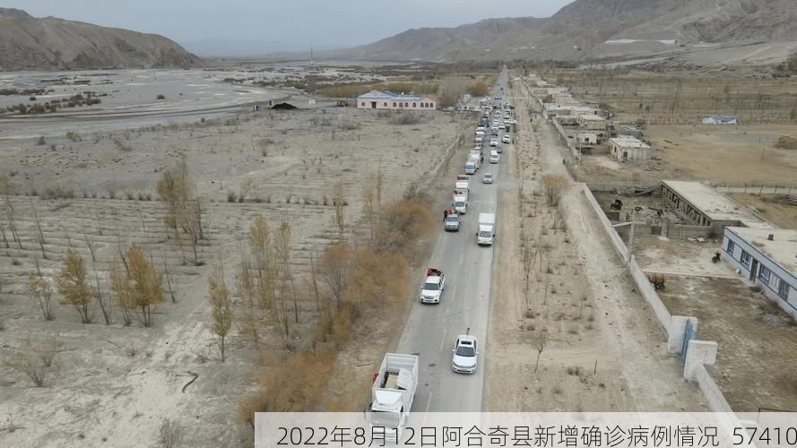 2022年8月12日阿合奇县新增确诊病例情况_57410