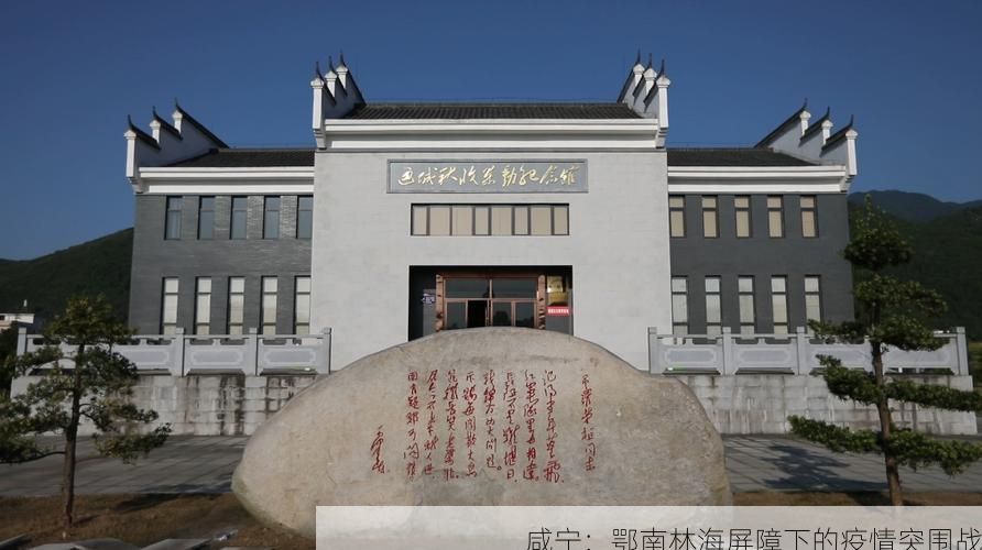 咸宁：鄂南林海屏障下的疫情突围战