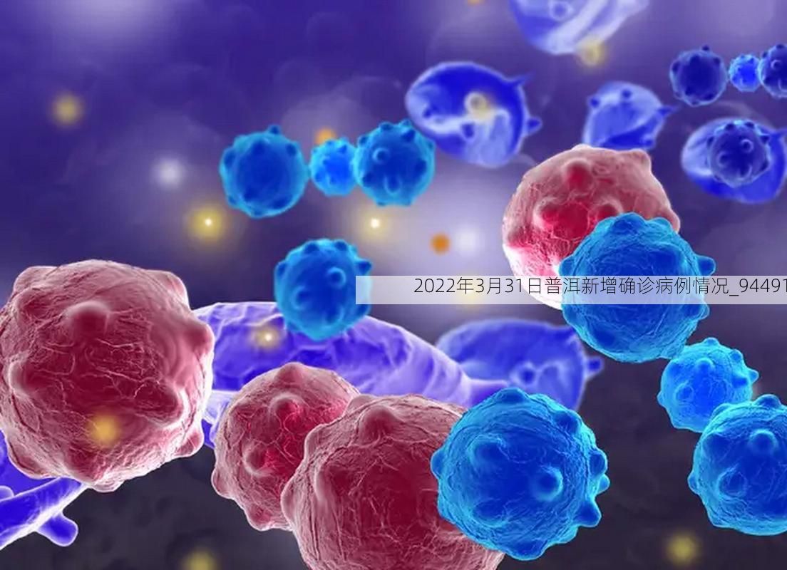 最新资讯 第13页