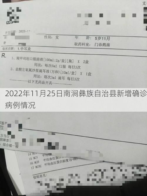 2022年11月25日南涧彝族自治县新增确诊病例情况