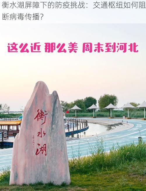 衡水湖屏障下的防疫挑战：交通枢纽如何阻断病毒传播？