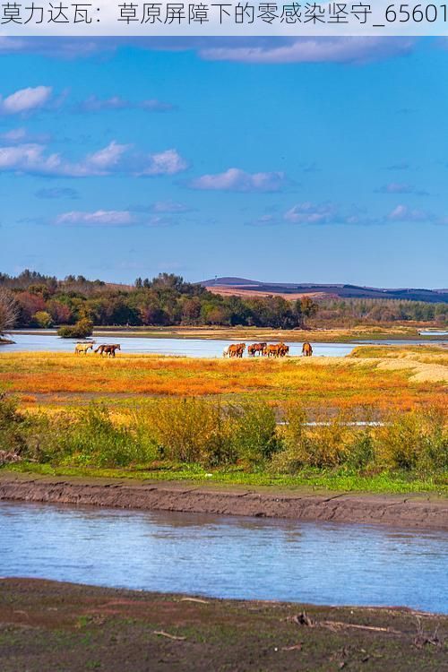 莫力达瓦：草原屏障下的零感染坚守_65601