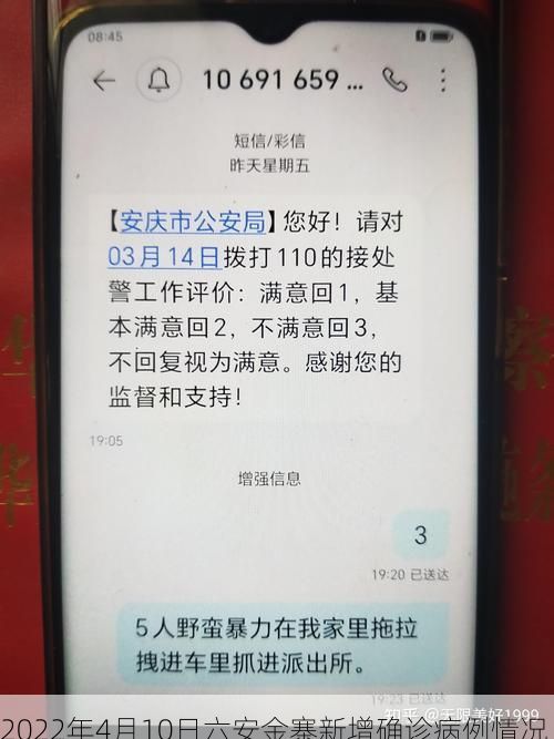 2022年4月10日六安金寨新增确诊病例情况