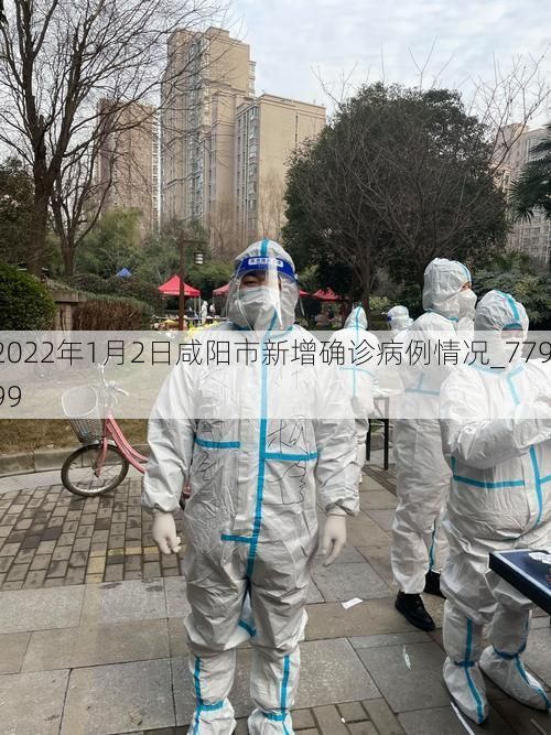 2022年1月2日咸阳市新增确诊病例情况_77999