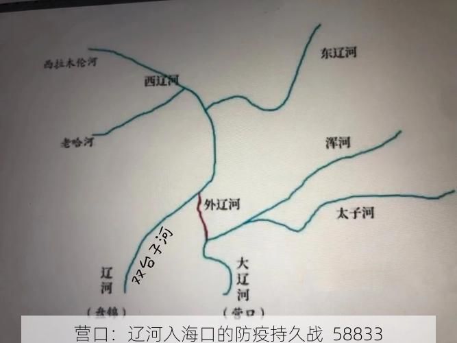营口：辽河入海口的防疫持久战_58833