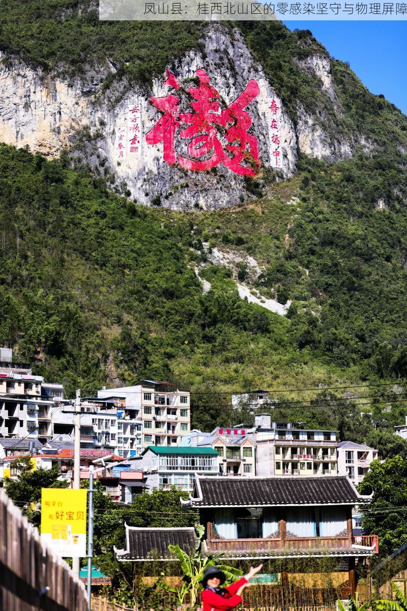 凤山县：桂西北山区的零感染坚守与物理屏障