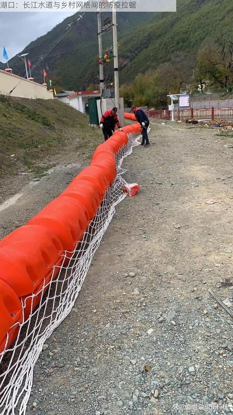 湖口：长江水道与乡村网格间的防疫拉锯