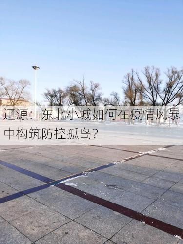 辽源：东北小城如何在疫情风暴中构筑防控孤岛？