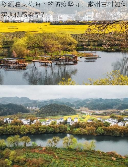 婺源油菜花海下的防疫坚守：徽州古村如何实现低感染率？